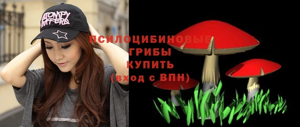 гидра Алзамай