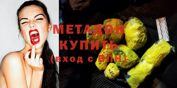 гидра Ельня