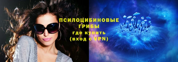 крисы Алексин