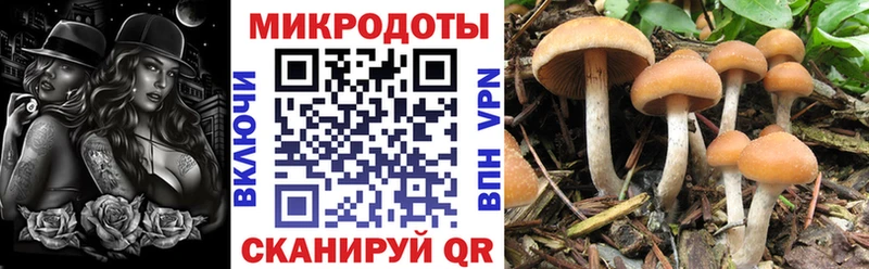 Псилоцибиновые грибы мухоморы  ссылка на мегу как зайти  Архангельск  купить наркотик 